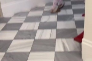 不敢想她有多幸福！勒布朗女儿朱莉在豪宅里和狗狗打球