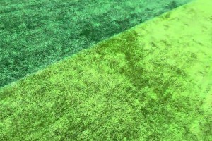 韩老师：今天脚头太臭没踢准，你们说我该送什么赔礼好呢🥰