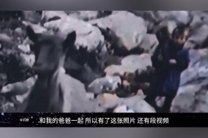 从放羊娃到足坛巨星！中场大师莫德里奇的励志人生！