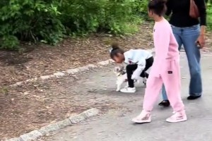 美网友在纽约公园偶遇布莱恩特一家~BBkoko有小狗啦！