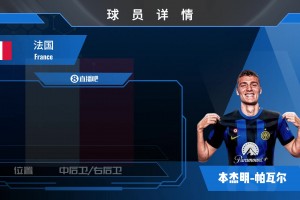 法国后卫帕瓦尔集锦