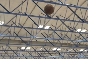 看看布朗尼休赛期投篮训练，现在真得多练，不然打夏联都5中1😂