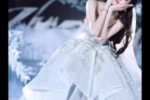 朱松玮的车模妻子 这颜值太逆天了！