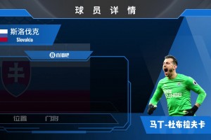 杜布拉夫卡球员集锦：近距离扑救出色 二次反应极快的门将