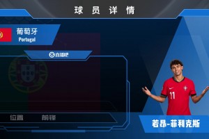 菲利克斯球员集锦：能突善带的边锋 球风灵动