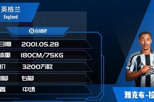 签人了！HWG！纽卡4000万签下维拉中场拉姆塞！看集锦吧