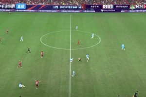 两黄一红？成都球员抗议裁判没给马亚第二张黄牌