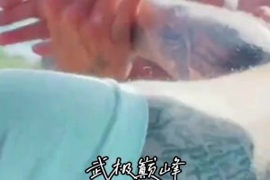 前骑士球员德隆蒂韦斯特～很难想像这是曾经在NBA飞天遁地的人啊