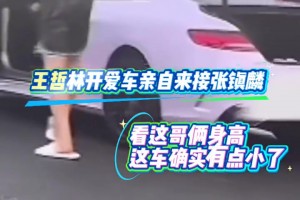 王哲林开着爱车亲自来接张镇麟，懂车的吧友看看这是啥车啊？😂