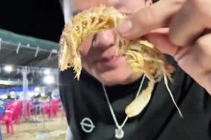 三亚夜宵🦞朱芳雨谈王治郅：他都不用微信的！我私下叫他篮板王