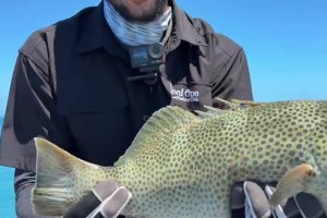 休赛期垂钓高手😂西蒙斯社媒晒海钓收获！直言这回运气爆棚~